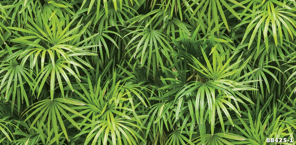 Giấy dán tường lá cây nhiệt đới 88425-1